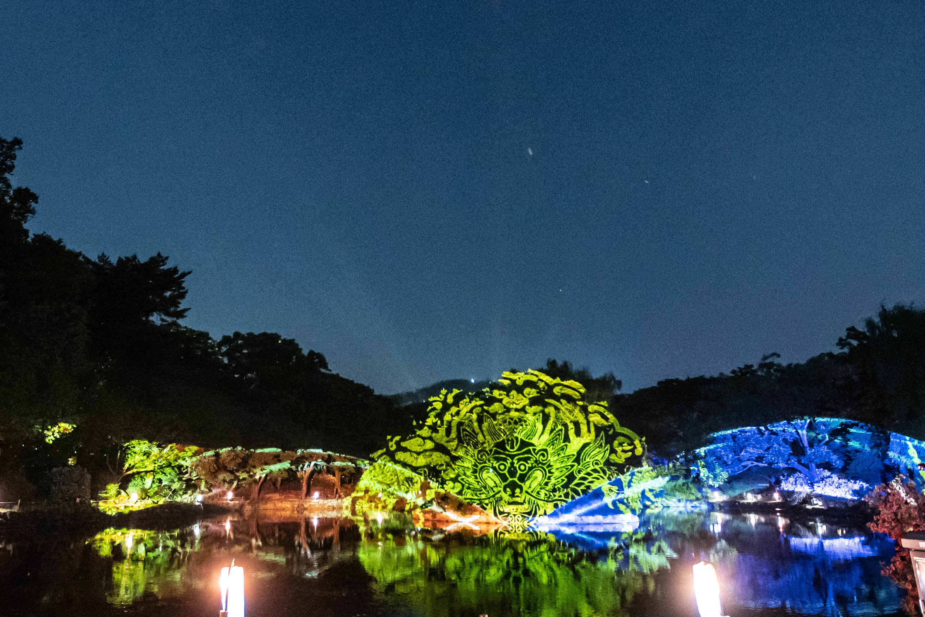 2024 봄 창경궁_물빛연화 (2).jpg