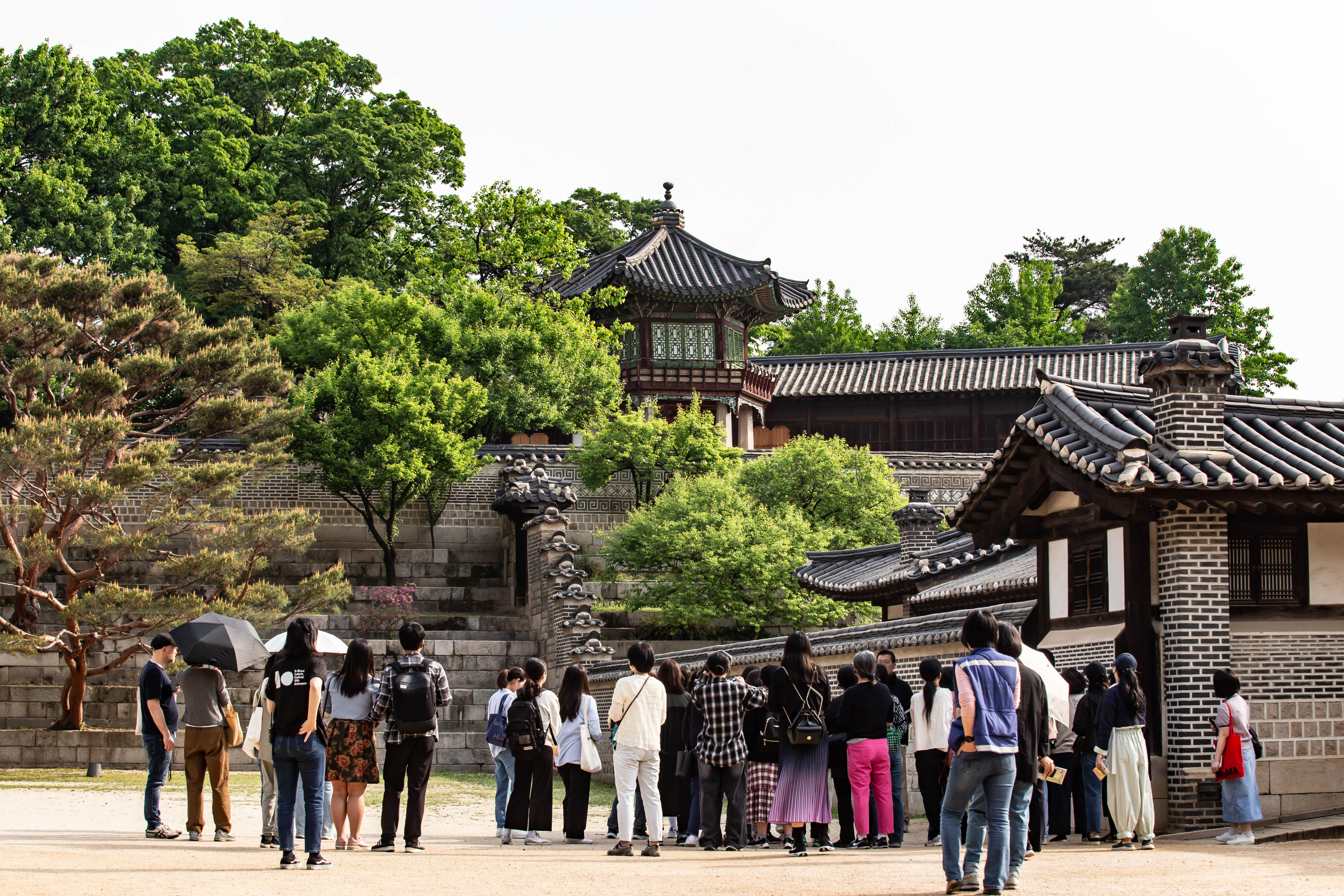 2024 봄 아침궁을 깨우다 (3).jpg