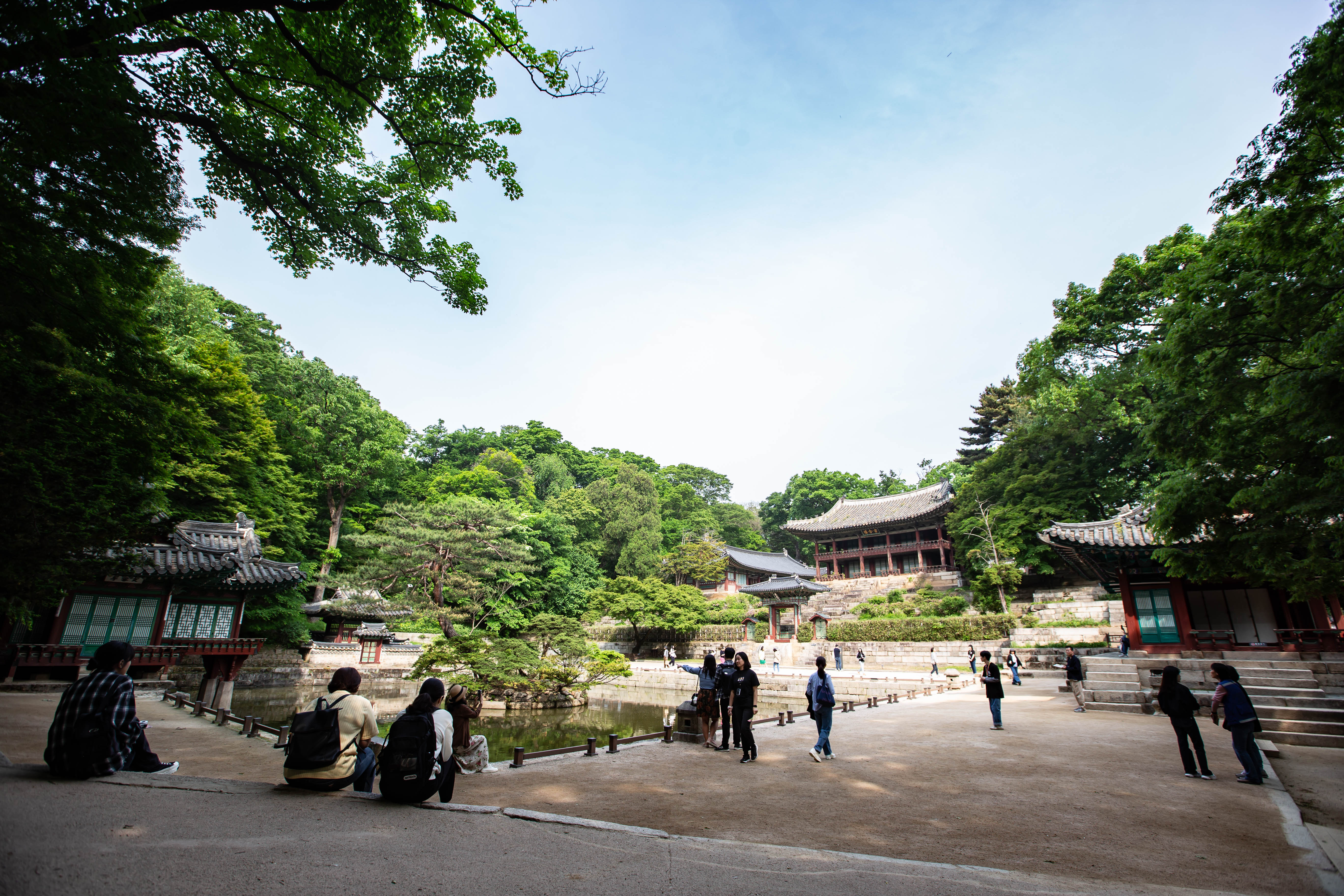 2024 봄 아침궁을 깨우다 (2).jpg