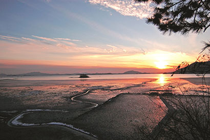 仙岩寺 顺天滩涂