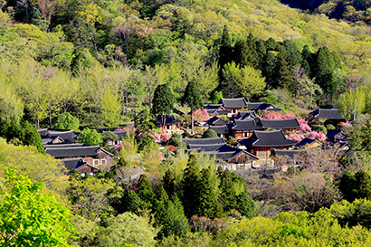 仙岩寺と順天干潟