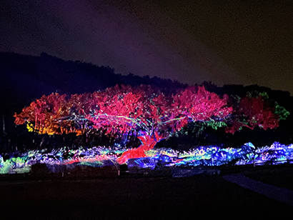 黄昏の奇跡 支石墓